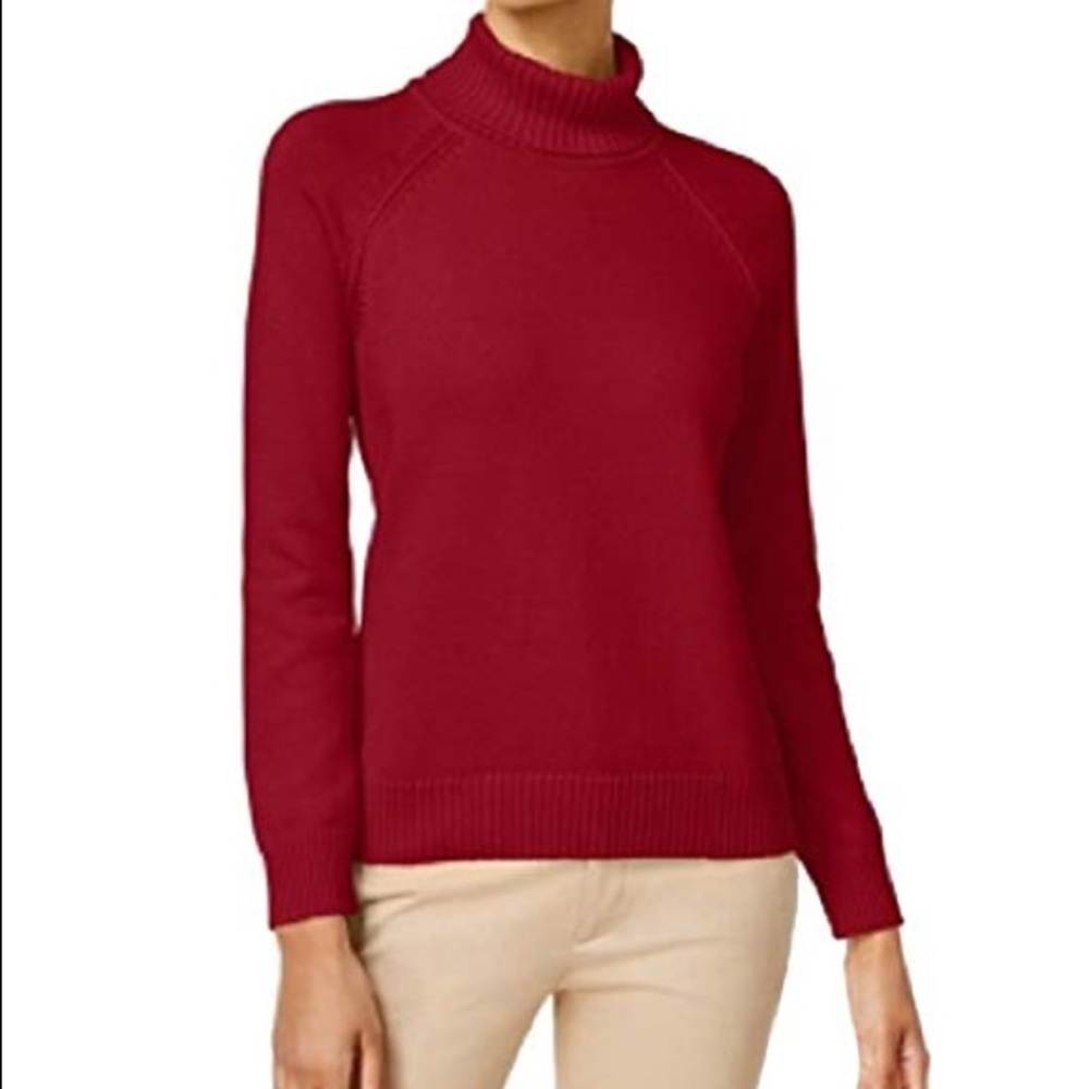 NWT Karen Scott Turtle Neck PXL